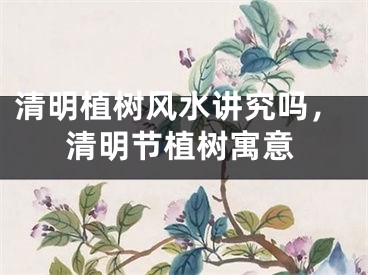 清明植树风水讲究吗，清明节植树寓意
