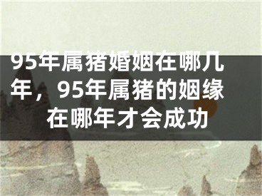 95年属猪婚姻在哪几年，95年属猪的姻缘在哪年才会成功