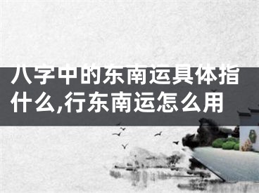 八字中的东南运具体指什么,行东南运怎么用