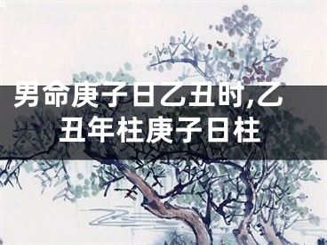 男命庚子日乙丑时,乙丑年柱庚子日柱