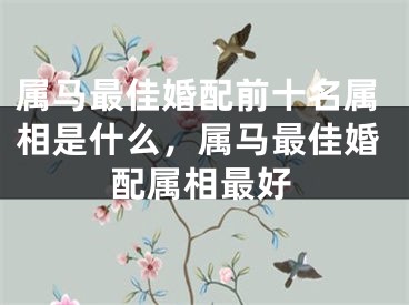 属马最佳婚配前十名属相是什么，属马最佳婚配属相最好