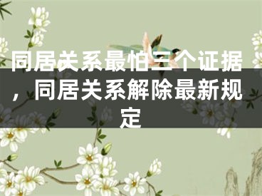 同居关系最怕三个证据，同居关系解除最新规定