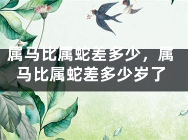 属马比属蛇差多少，属马比属蛇差多少岁了