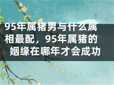 95年属猪男与什么属相最配，95年属猪的姻缘在哪年才会成功
