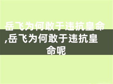 岳飞为何敢于违抗皇命,岳飞为何敢于违抗皇命呢