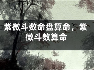 紫微斗数命盘算命，紫微斗数算命