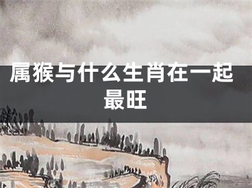 属猴与什么生肖在一起最旺