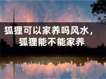 狐狸可以家养吗风水，狐狸能不能家养