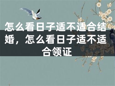 怎么看日子适不适合结婚，怎么看日子适不适合领证
