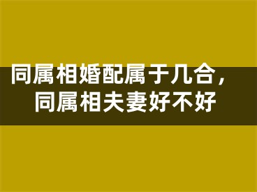同属相婚配属于几合，同属相夫妻好不好