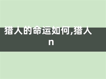 猎人的命运如何,猎人n