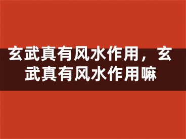 玄武真有风水作用，玄武真有风水作用嘛