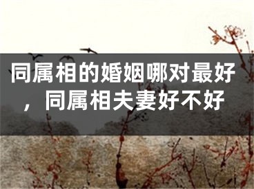 同属相的婚姻哪对最好，同属相夫妻好不好