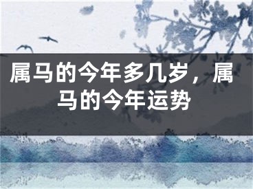 属马的今年多几岁，属马的今年运势