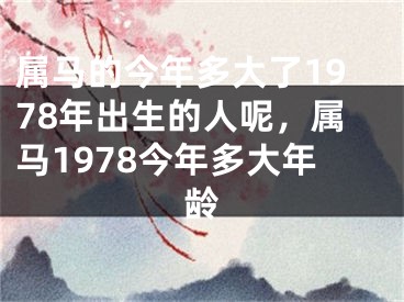 属马的今年多大了1978年出生的人呢，属马1978今年多大年龄