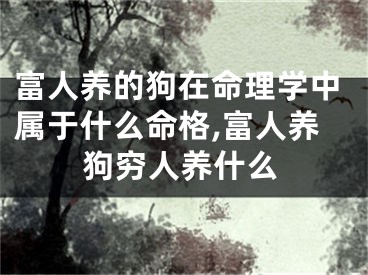 富人养的狗在命理学中属于什么命格,富人养狗穷人养什么