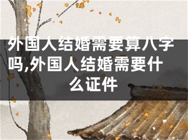 外国人结婚需要算八字吗,外国人结婚需要什么证件