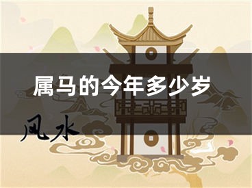 属马的今年多少岁