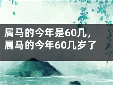 属马的今年是60几，属马的今年60几岁了