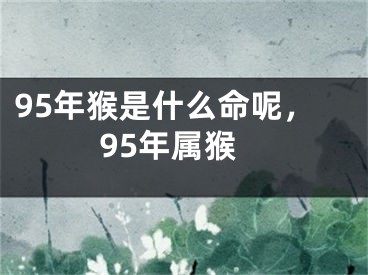 95年猴是什么命呢，95年属猴