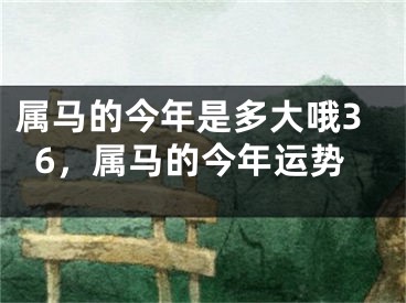 属马的今年是多大哦36，属马的今年运势