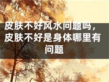 皮肤不好风水问题吗，皮肤不好是身体哪里有问题