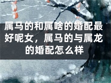 属马的和属啥的婚配最好呢女，属马的与属龙的婚配怎么样