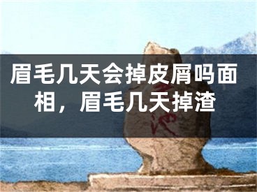 眉毛几天会掉皮屑吗面相，眉毛几天掉渣