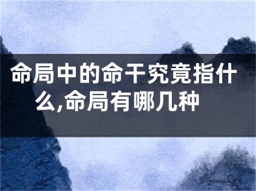 命局中的命干究竟指什么,命局有哪几种