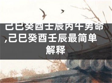 己巳癸酉壬辰丙午男命,己巳癸酉壬辰最简单解释