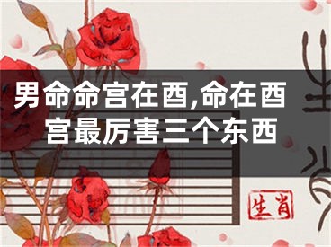 男命命宫在酉,命在酉宫最厉害三个东西