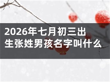 2026年七月初三出生张姓男孩名字叫什么