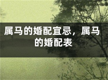 属马的婚配宜忌，属马的婚配表