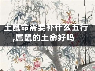 土鼠命需要补什么五行,属鼠的土命好吗