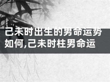 己未时出生的男命运势如何,己未时柱男命运