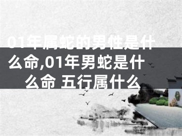 01年属蛇的男性是什么命,01年男蛇是什么命 五行属什么