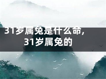 31岁属兔是什么命,31岁属兔的