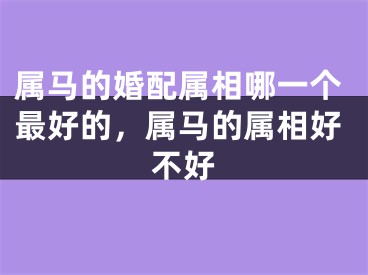 属马的婚配属相哪一个最好的，属马的属相好不好