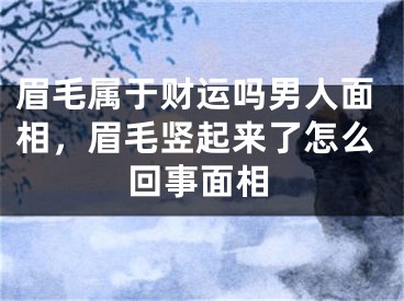 眉毛属于财运吗男人面相，眉毛竖起来了怎么回事面相