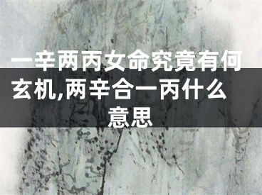 一辛两丙女命究竟有何玄机,两辛合一丙什么意思