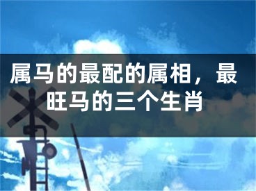 属马的最配的属相,最旺马的三个生肖
