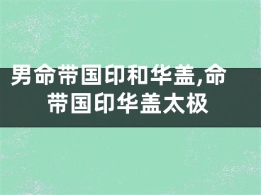 男命带国印和华盖,命带国印华盖太极