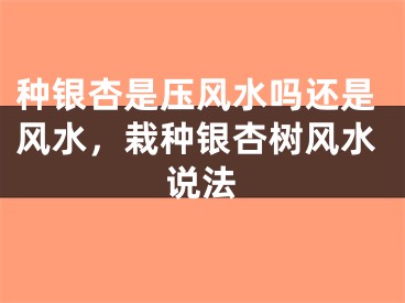 种银杏是压风水吗还是风水，栽种银杏树风水说法