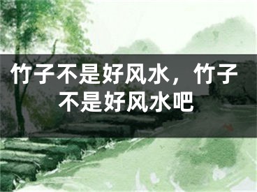 竹子不是好风水，竹子不是好风水吧