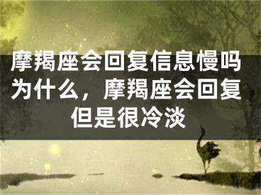 摩羯座会回复信息慢吗为什么，摩羯座会回复但是很冷淡