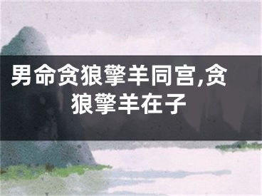 男命贪狼擎羊同宫,贪狼擎羊在子