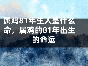 属鸡81年生人是什么命，属鸡的81年出生的命运