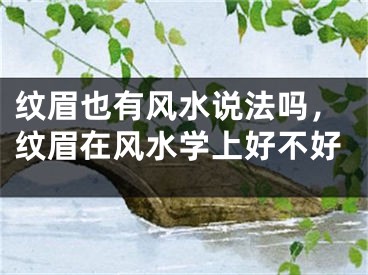 纹眉也有风水说法吗，纹眉在风水学上好不好