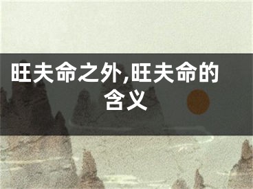 旺夫命之外,旺夫命的含义