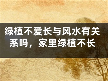 绿植不爱长与风水有关系吗，家里绿植不长